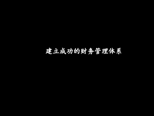 麦肯锡——联想集团：建立成功的财务管理体系