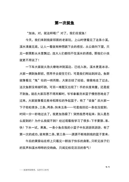 第一次捉鱼_五年级作文