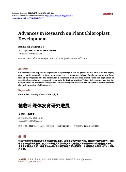 植物叶绿体发育研究进展