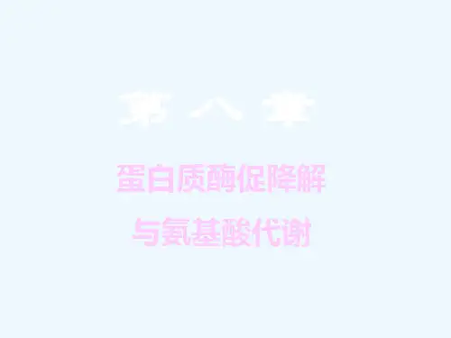 蛋白质酶促降解与氨基酸代谢