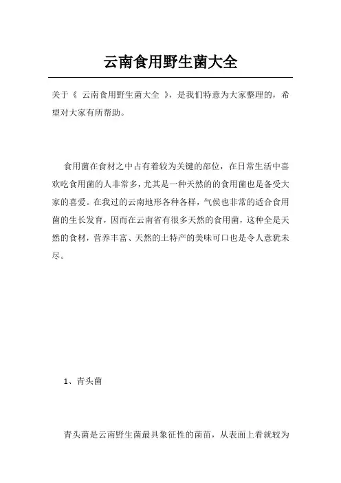 云南食用野生菌大全