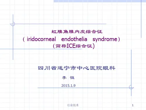 虹膜角膜内皮综合征课件(专业技术)