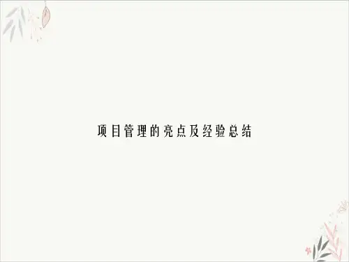 项目管理的亮点及经验总结课件-PPT