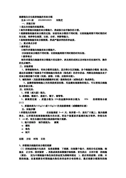 观察根尖分生组织细胞的有丝分裂 3