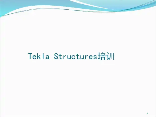 Tekla Structures培训-文档资料