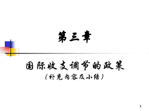 第三章 国际收支调节政策补充内容 打印稿