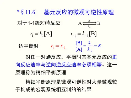 11.6基元反应的微观可逆性原理