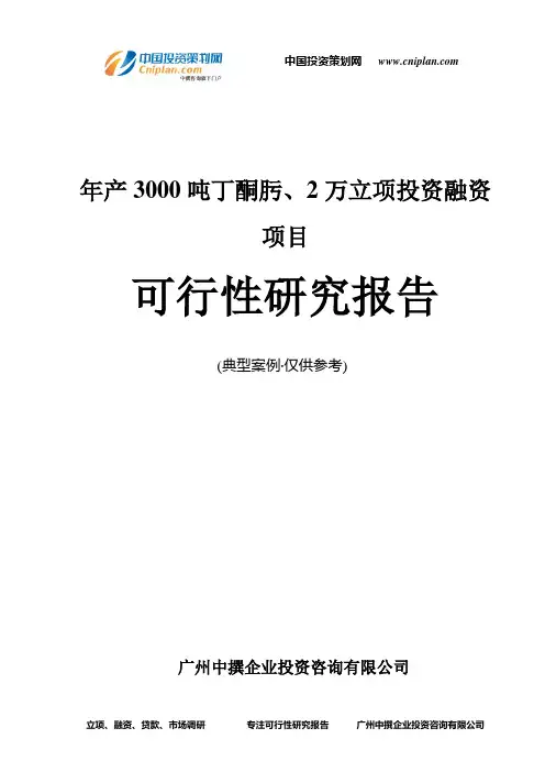 年产3000吨丁酮肟、2万融资投资立项项目可行性研究报告(中撰咨询)