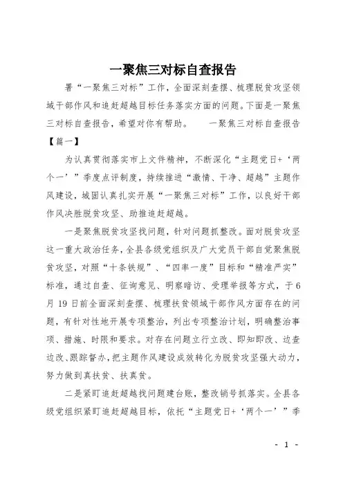 一聚焦三对标自查报告_0