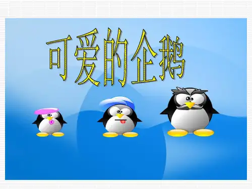 548可爱的企鹅PPT课件
