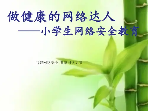 网络安全教育PPT课件