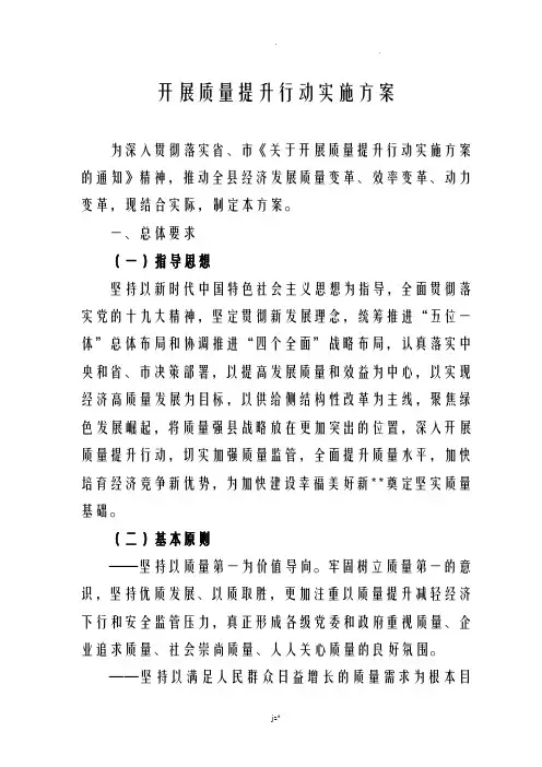 开展质量提升行动实施计划方案