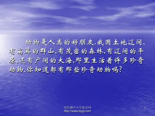 北师大版小学一年级下册语文《大熊猫》课件PPT
