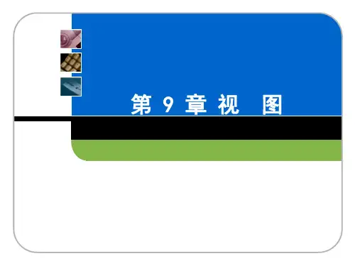 数据库技术与应用—SQL_Server_2008(第2版)第9章_视图