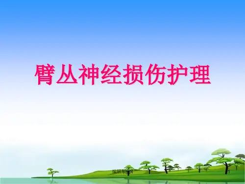 臂丛神经损伤护理