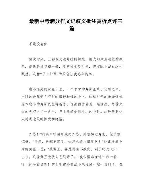 最新中考满分作文记叙文批注赏析点评三篇