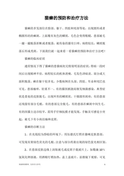 猫癣的预防和治疗方法