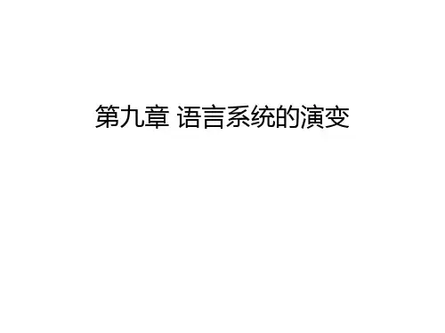 第九章 语言系统的演变教学内容