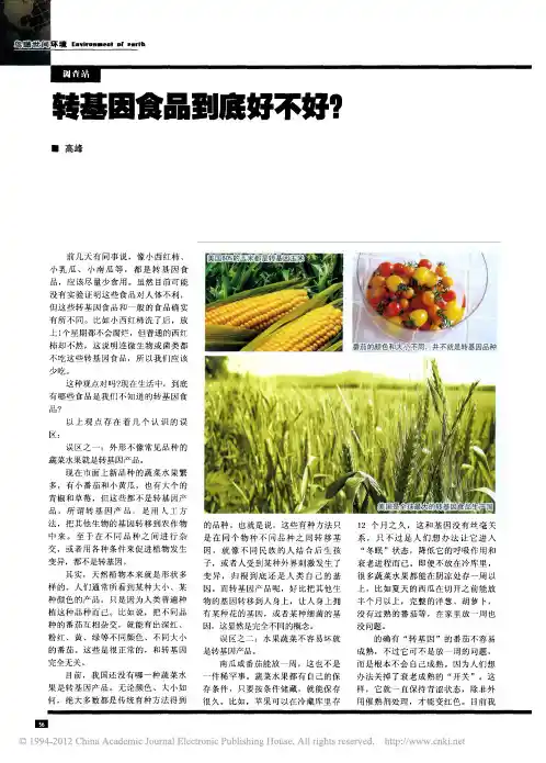 转基因食品到底好不好_