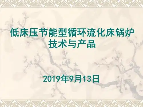 低床压循环流化床锅炉技术与产品-资料