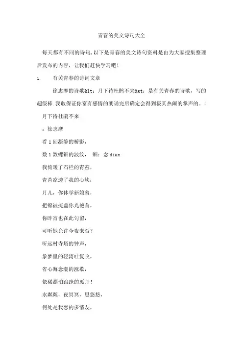 青春的美文诗句