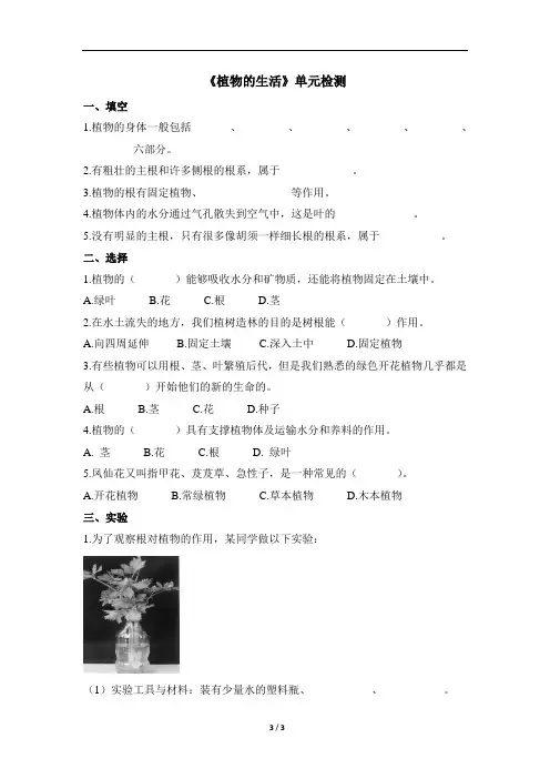 青岛版小学三年级科学上册第二单元《植物的生活》单元检测试题及答案