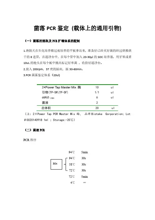 菌落PCR鉴定步骤