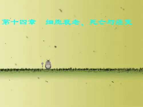 细胞衰老死亡和癌变