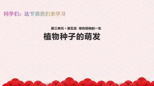 苏教版初中七年级生物上册《植物种子的萌发》(苏教版)