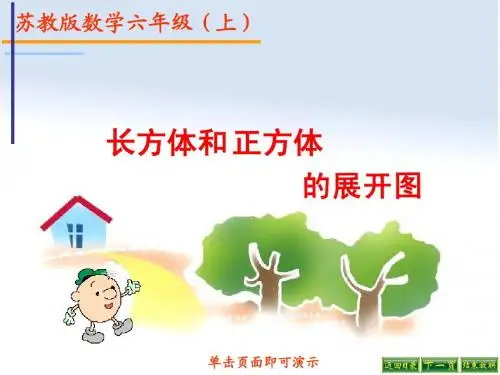 苏教版长方体和正方体的展开图