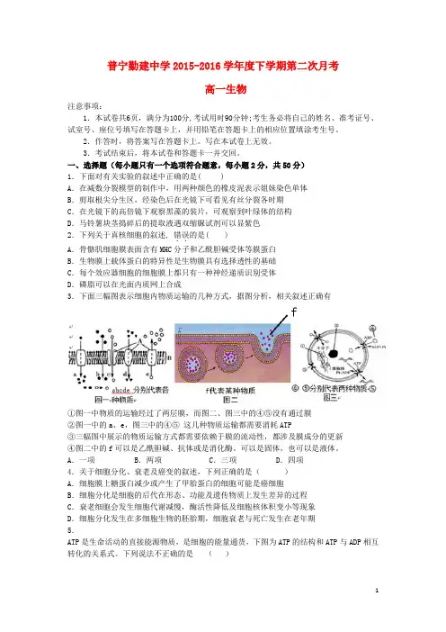 广东省普宁市勤建学校2015-2016学年高一生物下学期第二次月考试题