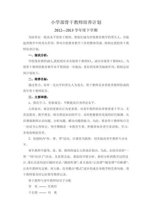 骨干教师培养工作计划 2