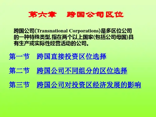 第6章跨国公司区位 经济地理学
