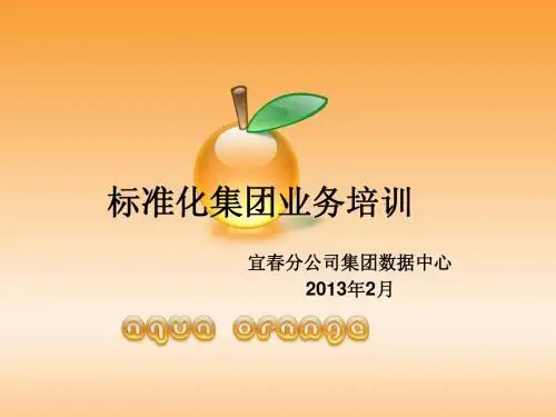 集团信息化之标准产品介绍