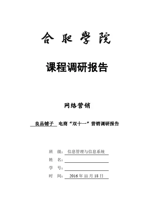 电商“双十一”营销调研报告