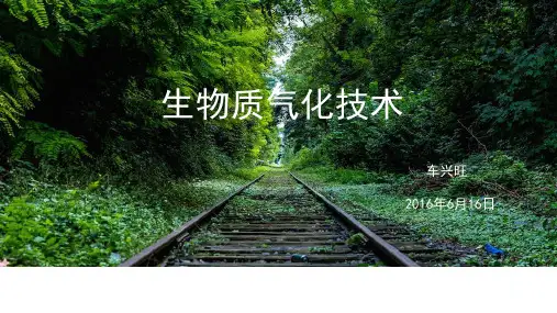 生物质气化技术资料讲解