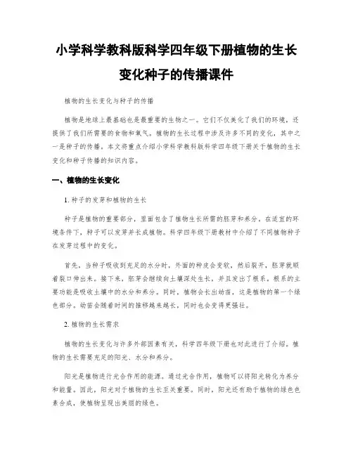 小学科学教科版科学四年级下册植物的生长变化种子的传播课件