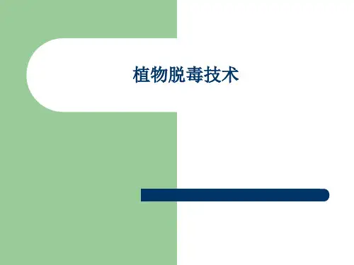 植物脱毒技术(PPT)