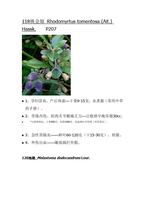 药用植物学图文讲义 (6)