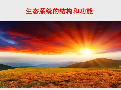 浙教版九年级(初三)科学下册生态系统的结构和功能_课件1