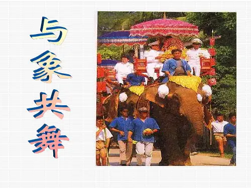 《与象共舞》 五年级下册语文PPT精品课件