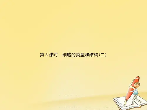 【最新】2018-2019学年苏教版高中生物必修一教学课件：第3单元 第3课时