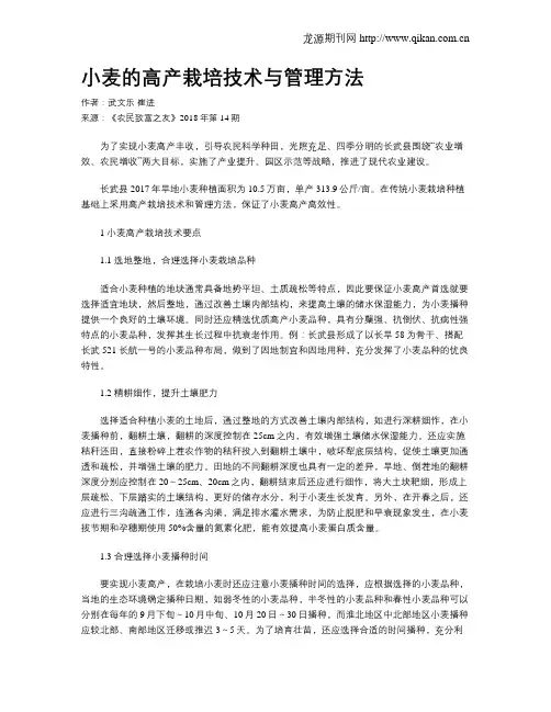 小麦的高产栽培技术与管理方法