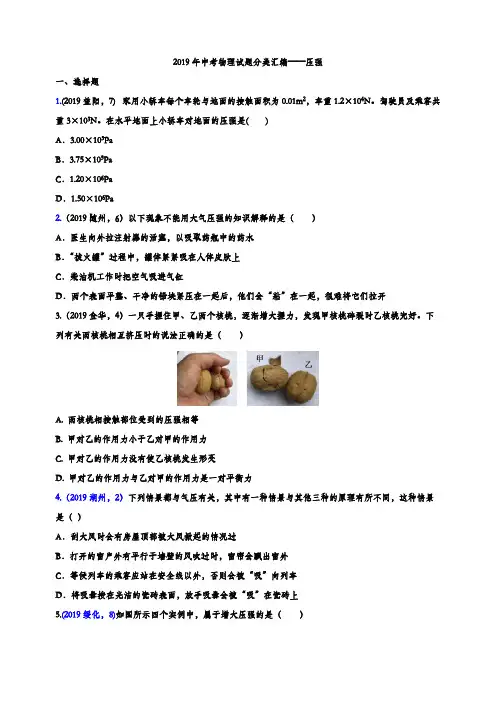 2019年中考物理试题分类汇编练习——压强专题6(word版含解析)