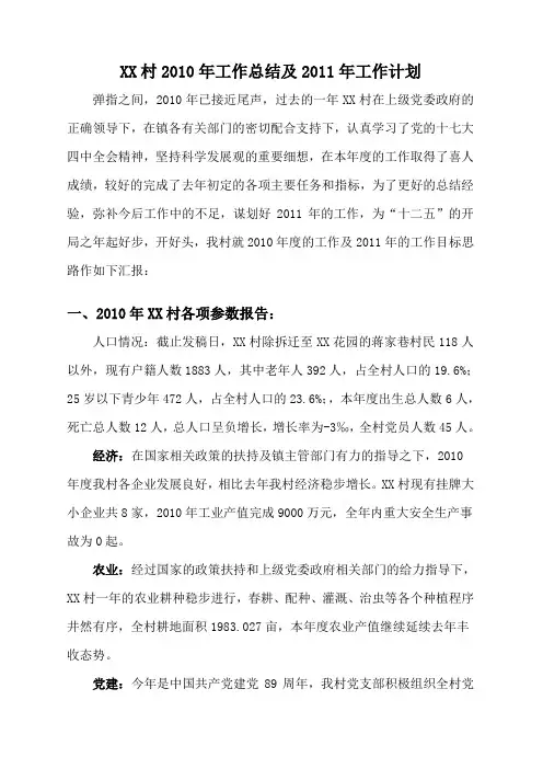 村工作总结