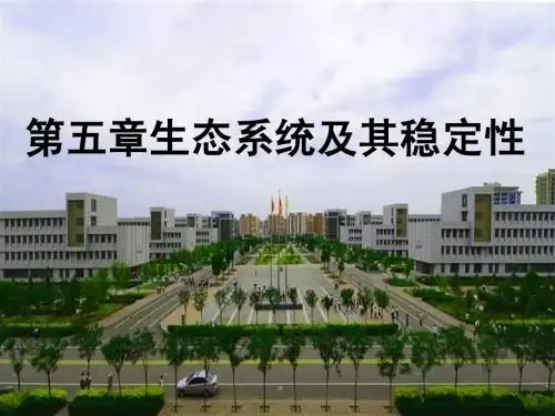 生态系统 一轮复习