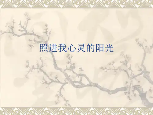 照进我心灵的阳光(作文评析)