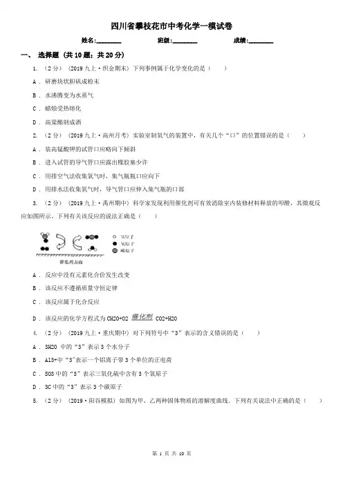 四川省攀枝花市中考化学一模试卷