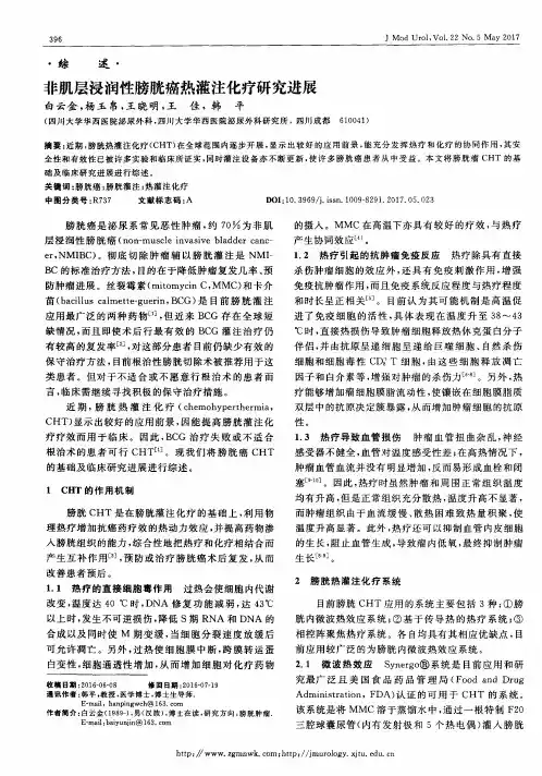 非肌层浸润性膀胱癌热灌注化疗研究进展