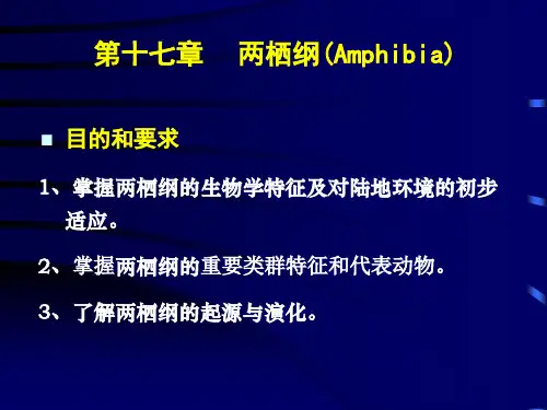 第17章-两栖纲.